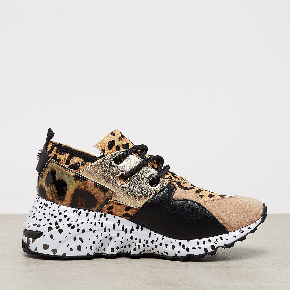 Steve Madden Cliff animal Sneaker | jetzt neu bei ONYGO